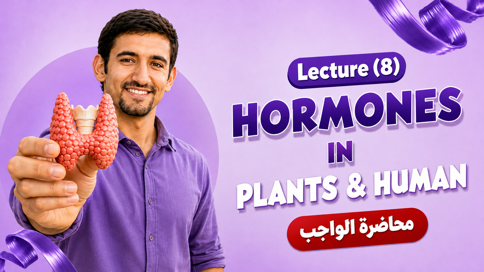 المحاضرة الثامنة